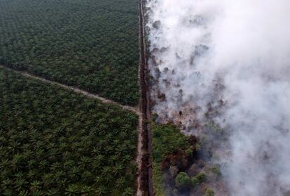 Vista aérea del incendio forestal junto a la plantación de palma aceitera en Muaro Jambi (Indonesia). En febrero, el país asiático confirmó que sus emisiones de carbono descendieron en 2017, cumpliendo el compromiso que había adoptado hace una década con Noruega, quien otorgaría 1.000 millones de dólares para ayudar a proteger los bosques tropicales indonesios.