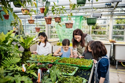 Igual que los estudiantes regresan a las aulas, septiembre podría ser un buen mes para buscar un curso de jardinería.