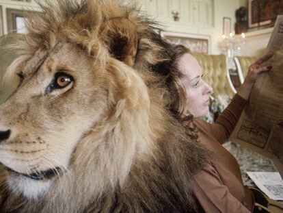 La ‘madre de tigres’ Tippi Hedren y otros famosos que presumieron de mascotas exóticas