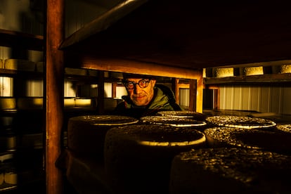 Pepe Bada, que pasa varias horas en la quesería seleccionando qué quesos son aptos para subir a la cueva del Teyedu.