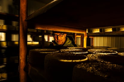 Pepe Bada, que pasa varias horas en la quesería seleccionando qué quesos son aptos para subir a la cueva del Teyedu. 