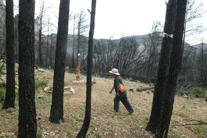 Lugar donde quedaron atrapados los cinco bomberos de Lleida que murieron en el incendio de Horta de Sant Joan.