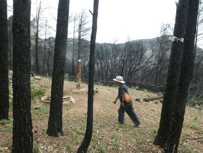 Lugar donde quedaron atrapados los cinco bomberos de Lleida que murieron en el incendio de Horta de Sant Joan.