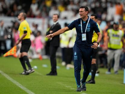 Lionel Scaloni, seleccionador de Argentina, durante el amistoso disputado ante Emiratos Árabes el miércoles.