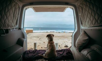 La ilustración de un perro.
