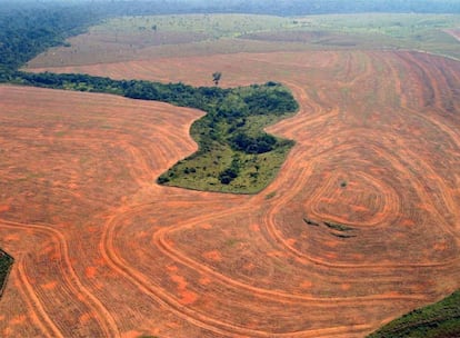 Vista aérea de bosques roturados en Novo Progreso (Brasil) para plantar soja.