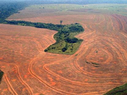 Vista aérea de bosques roturados en Novo Progreso (Brasil) para plantar soja.