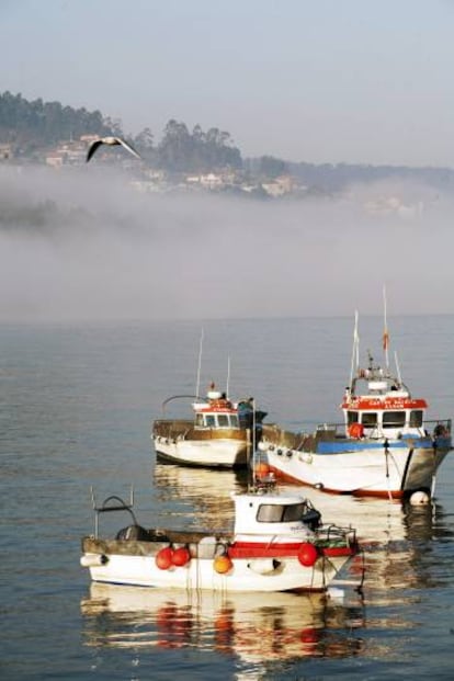 Neblina matinal en el puerto de Aldán