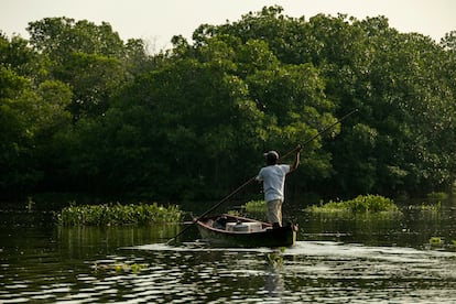 Un pescador artesanal rema al amanecer. El canal sostiene múltiples vidas: la del manglar, la de las especies y la de quienes lo recorren a diario para subsistir.