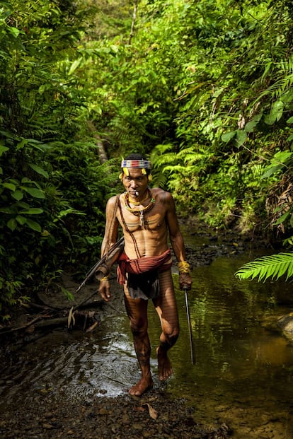 Para los mentawai, todas las personas son iguales. Según los sikerei, las jerarquías no existen porque todos forman parte de la misma cultura y, por lo tanto, los mismos tabúes son válidos para todo el mundo. En la foto, el sikerei Aman Alangi Kunen en la selva de Siberut.