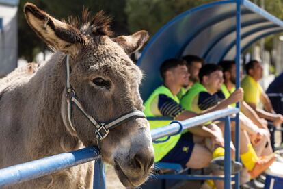 Imagen del docureality 'Maribáñez, el peor equipo del mundo'.