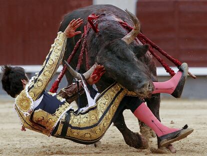 Miguel Ángel Perera, en el momento de ser cogido cuando lidiaba su primer toro ayer en Las Ventas.