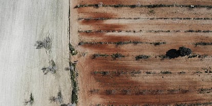 Vista aérea de una finca en Baza (Granada).