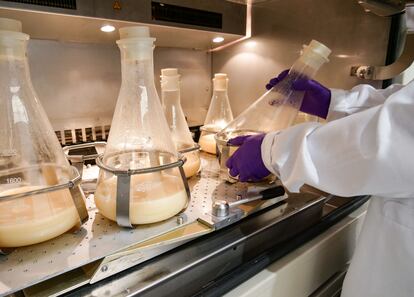 Cultiply es una empresa biotecnológica enfocada en la innovación y optimización de procesos fermentativos industriales.