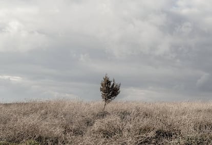 Alrededores de Iruecha (Soria).