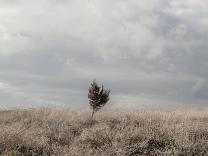 Alrededores de Iruecha (Soria).