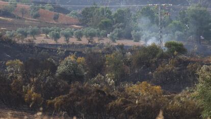 Zonas afectadas por el incendio de las Barrancas de Burujón, ya controlado.