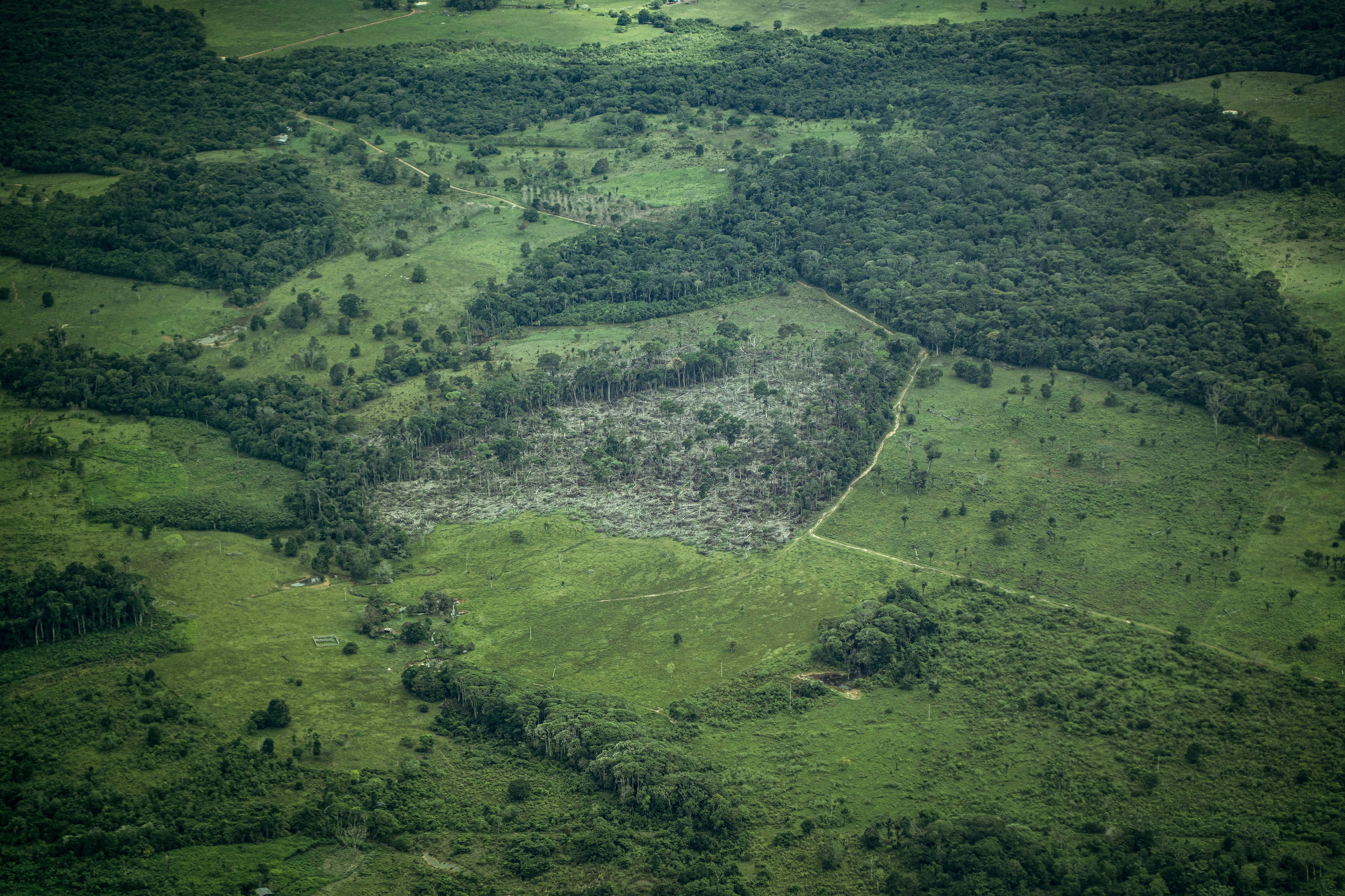 La puerta de entrada a la Amazonia colombiana, asfixiada entre la deforestación y la inseguridad