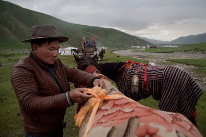 Un jinete nómada tibetano ata un pañuelo a su caballo, en la meseta del Tíbet, en el condado de Yushu (China).