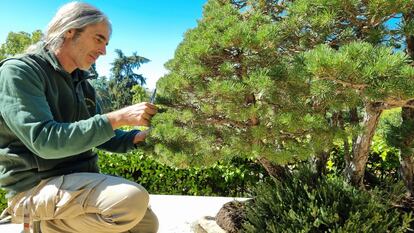 Jardin Botanico Madrid