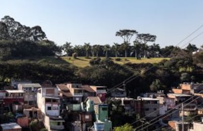 Cerejeiras, no alto de uma colina no Jardim Ângela.