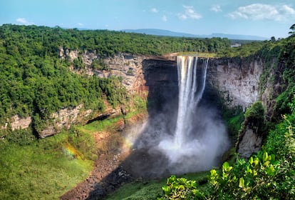 Cataratas Kaieteur (Guyana). 