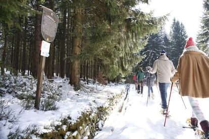 Excursionistas en el parque nacional del Harz, en Alemania.