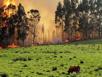 Vista del incendio en las proximidades de Naves (Llanes).