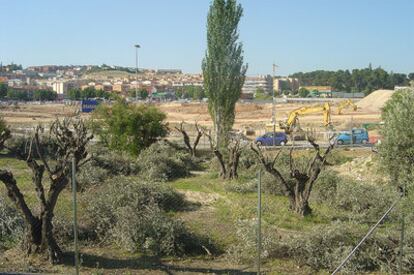 Terrenos que el Ayuntamiento de Arganda adjudicó a la constructora Martinsa en 2004.