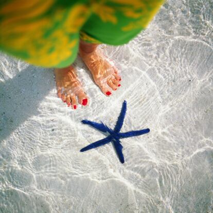 Una de tantas propuestas para este verano: ver estrellas de mar en las islas Cook, en el Pacífico Sur.