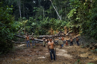Deforestación en Brasil y Colombia