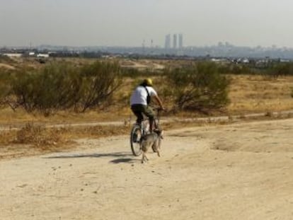 Vista de los terrenos ubicados en la localidad madrileña de Alcorcón donde posiblemente se instale Eurovegas.