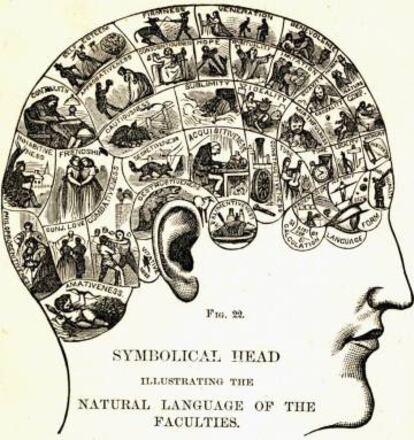 Mapa frenológico del siglo XIX. Un cerebro con el lenguaje natural de las facultades humanas.