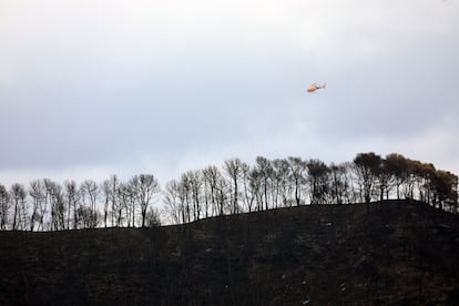 Un helicóptero trabaja en la extinción del incendio en Bellprat hace dos semanas.