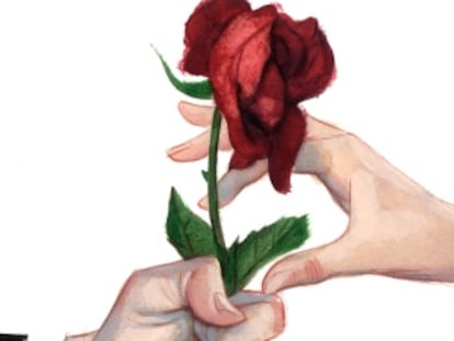 Una rosa para Rosa