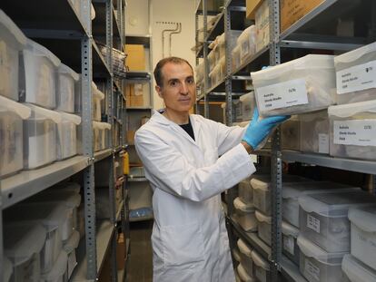 The ecologist Fernando Maestre, in his laboratory at the University of Alicante, in September 2023.