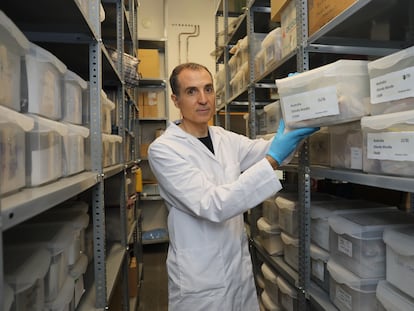 El ecólogo Fernando Maestre, en su laboratorio de la Universidad de Alicante, en septiembre de 2023.