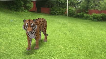 Animales en AR core de Google.