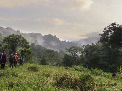 El maravilloso trekking a la Ciudad Perdida de Colombia
