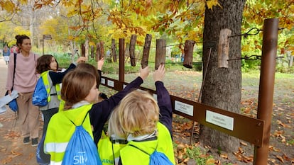 Alumnos de inmersion lingüística y cultural del colegio SEK Santa Isabel, en Madrid, se adentran en los jardines del Retiro para realizar un 'learning path'.