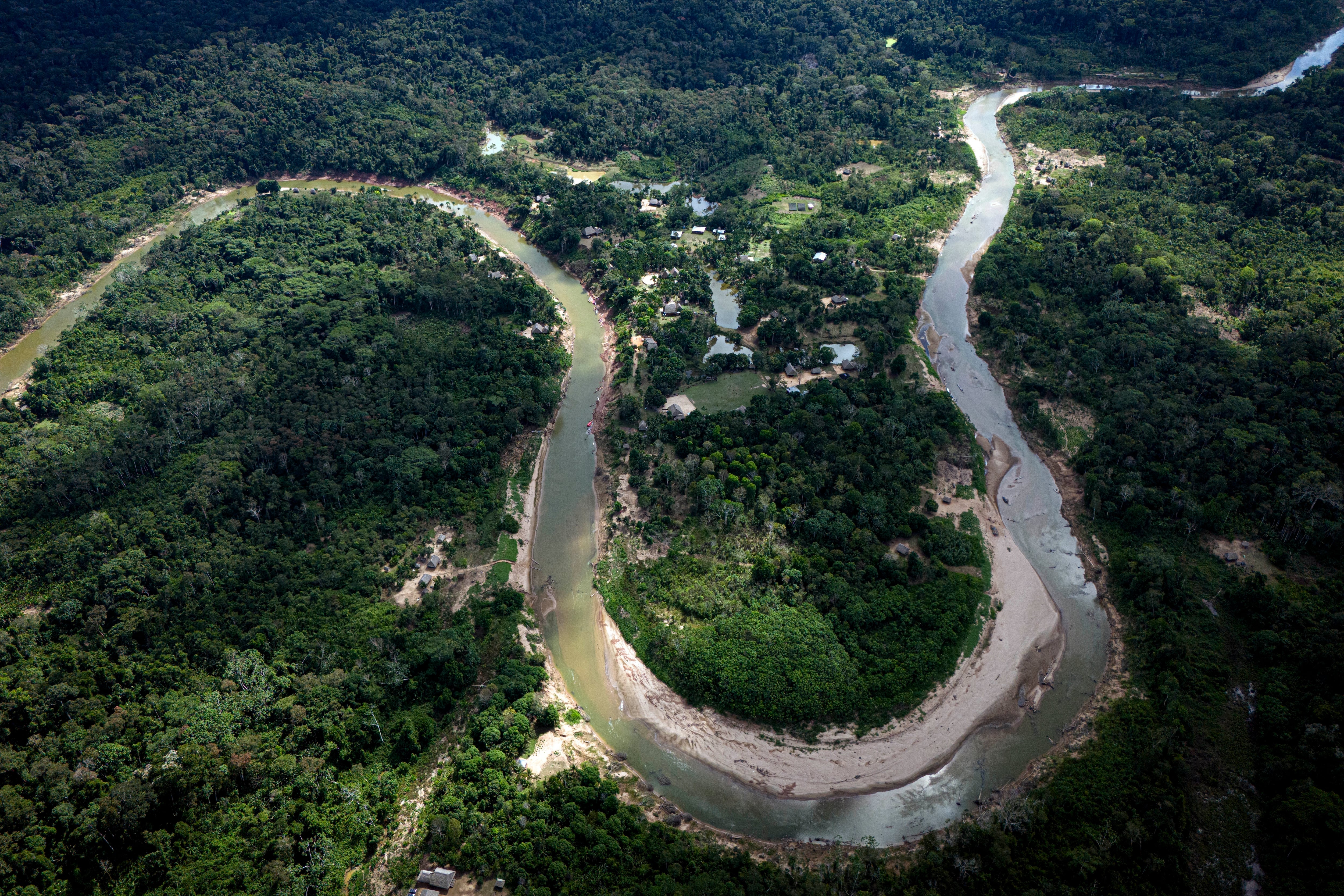 América Latina invierte en su biodiversidad apenas una décima parte de lo necesario: la brecha amenaza a sus especies