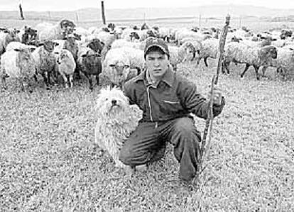 Uno de los aprendices de pastor, el chileno Patricio Gonzalo Vega.