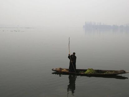 Un hombre extrae algas desde su barca en el lago Dal de Srinagar.
