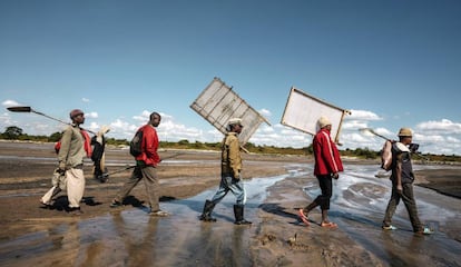 Mineros de cobalto camino al trabajo, repletos de tamices y palas.