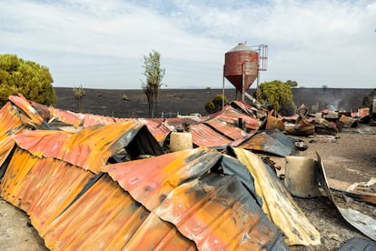Restos de los establos calcinados en el centro La Hípica.