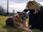 Jill Biden con su perro Dog Champ