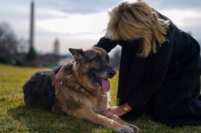 Jill Biden con su perro Dog Champ