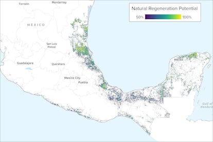 Este mapa muestra las áreas con un potencial de regeneración forestal natural superior al 50 % en todo México.