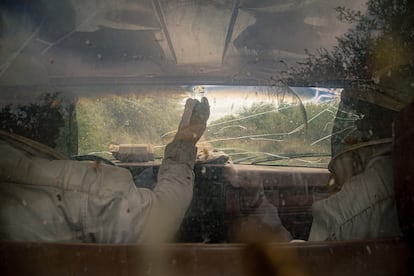 "Yo aprendía a cuidarlas con mi viejo. Esto es algo generacional", dice Federico Rost, sobre su relación con las abejas. Pero pasar el legado no es sencillo: "Menos ahora. Los 'pibes' no se quedan en el pueblo. Y para los que se quedan, la responsabilidad les resulta extenuante".