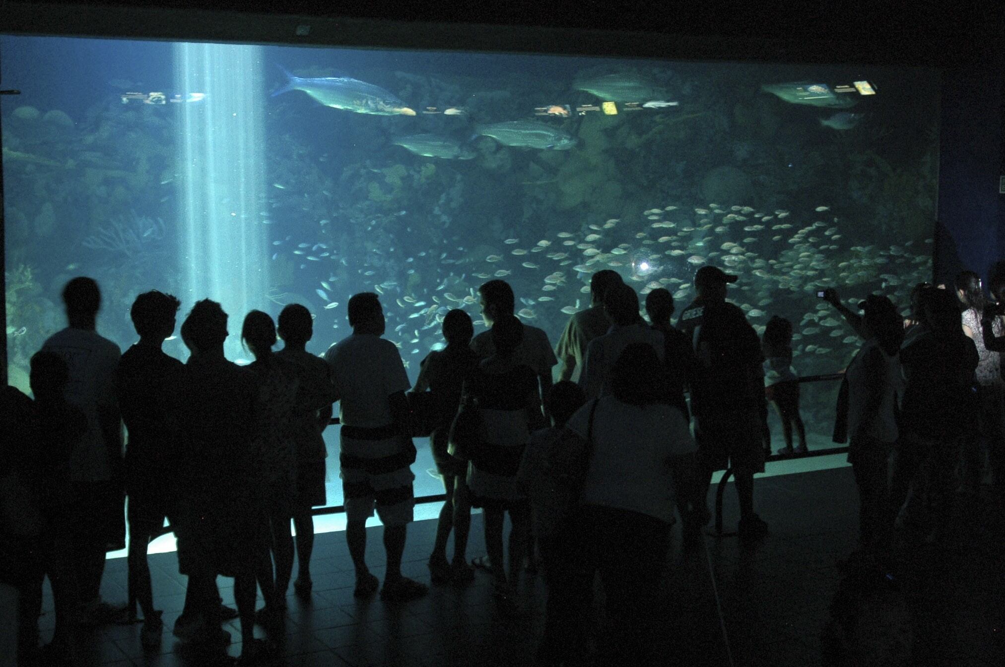 El acuario de Veracruz en una fotografía de archivo, del año 2011.